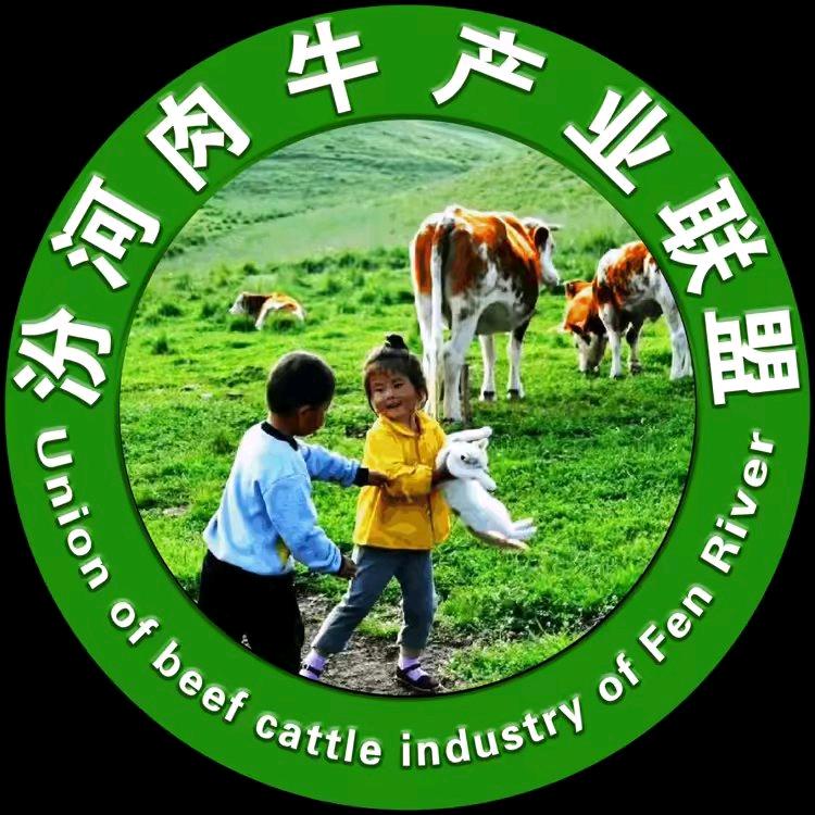 山西汾河肉牛总部