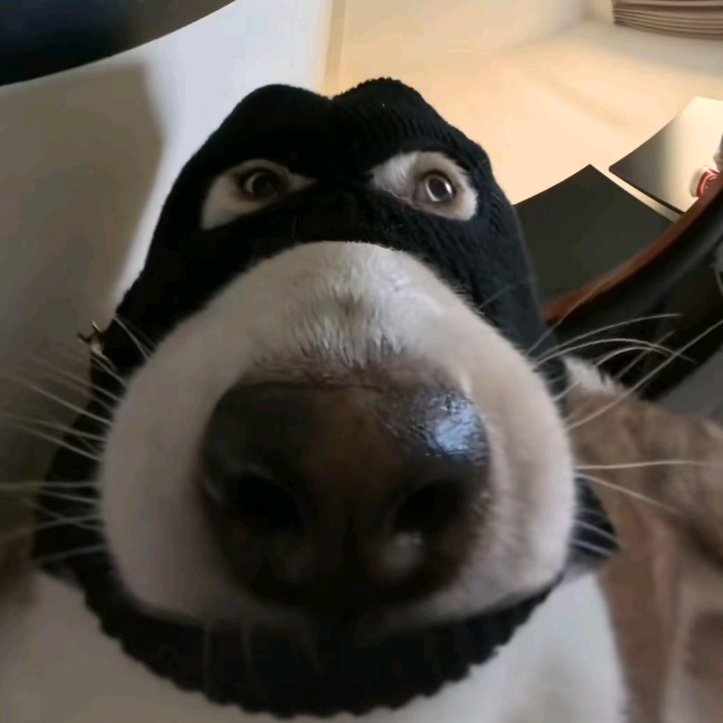 不喝冰的