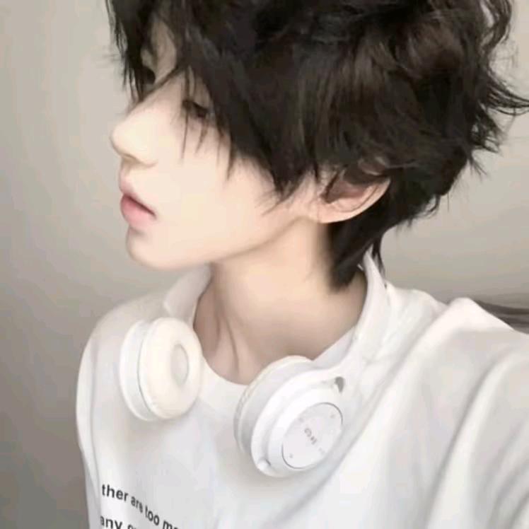 一叶知秋୧( ⁼̴̶̤̀ω⁼̴̶̤́ )