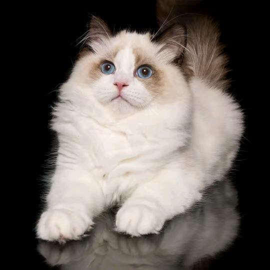 ₅²⁰ღ爱已💖成殇ོོ¹ᶟ₁₄