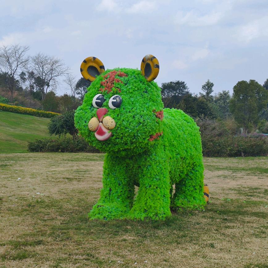 杨枝甘露