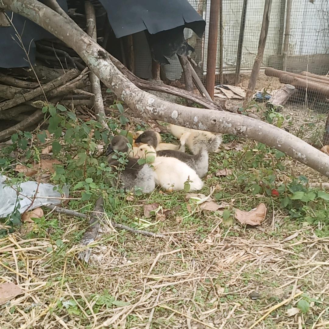 拥抱你的微笑(*￣︶￣)