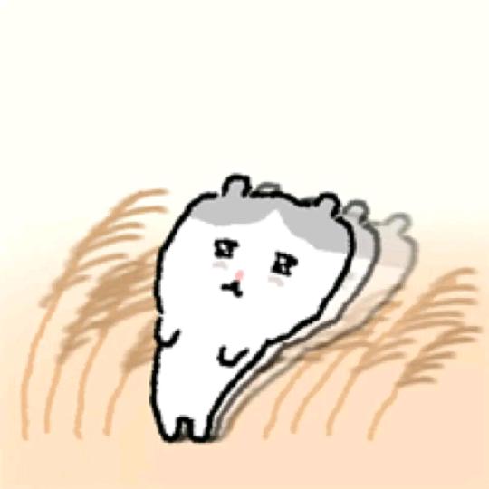 无隅