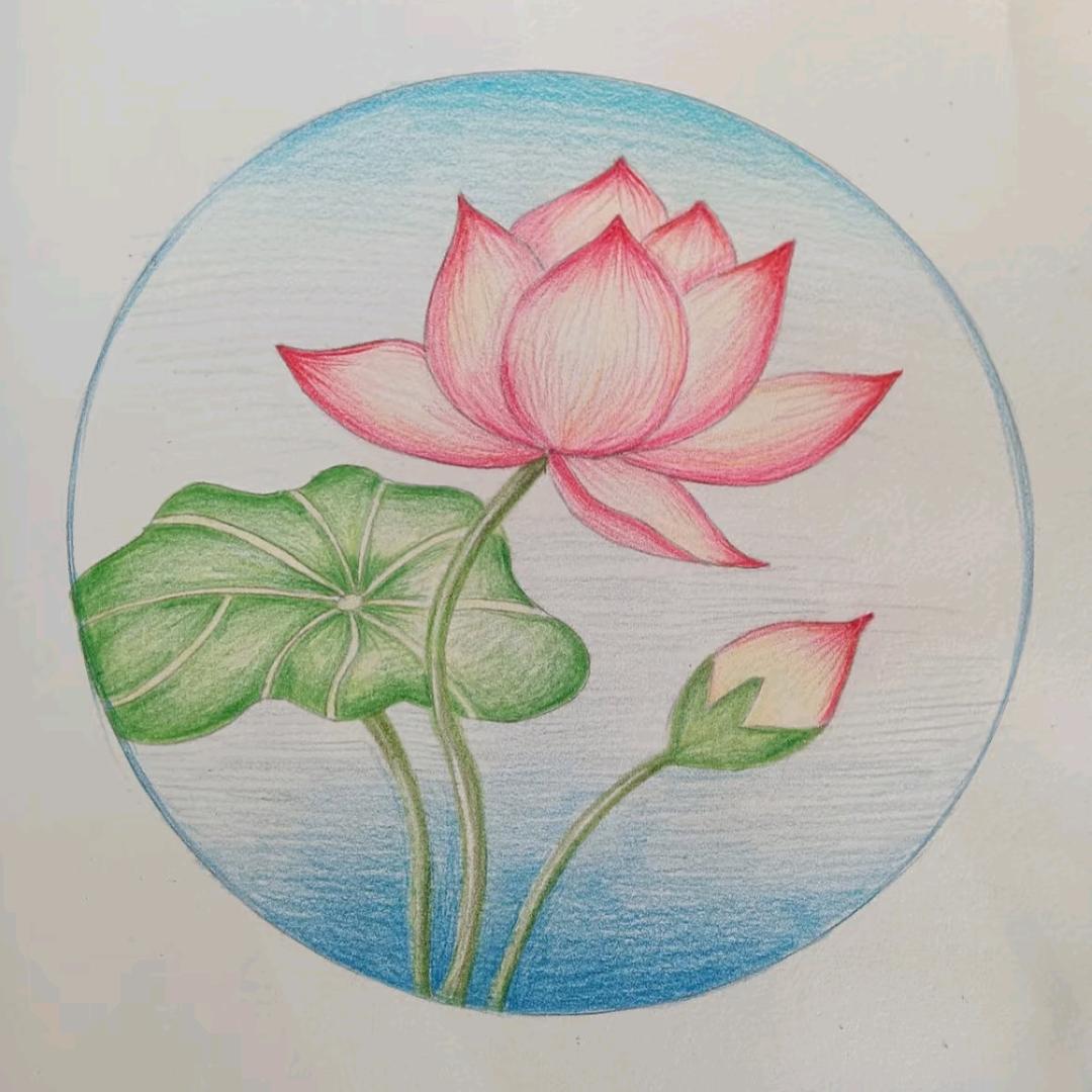 蕊蕊同学