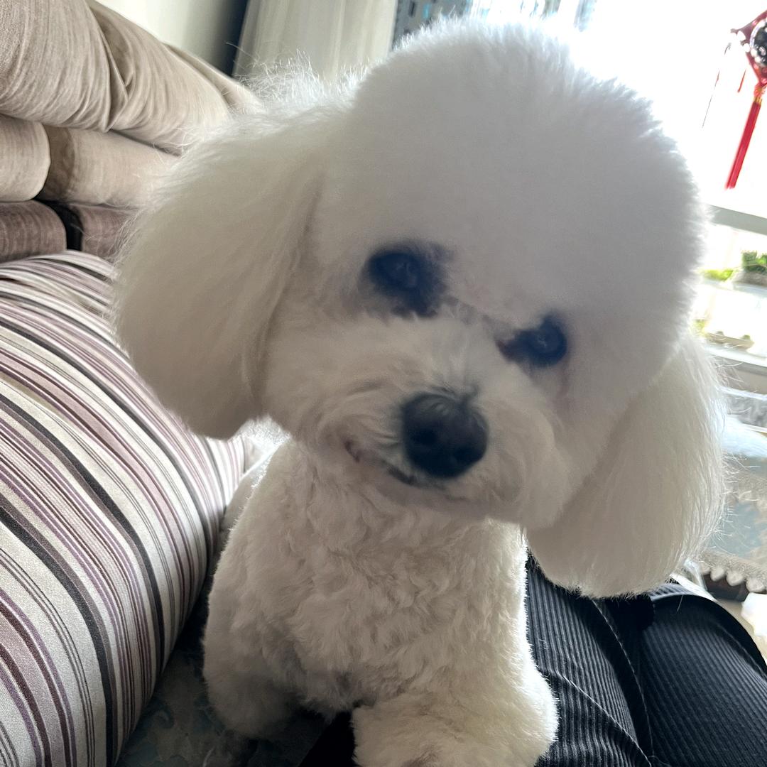 ✨小星星闪闪✨