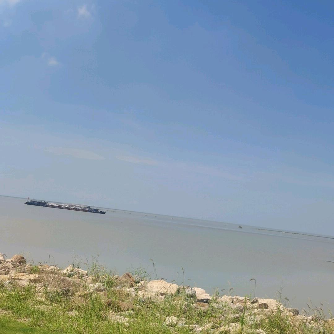 为了梦想去努力