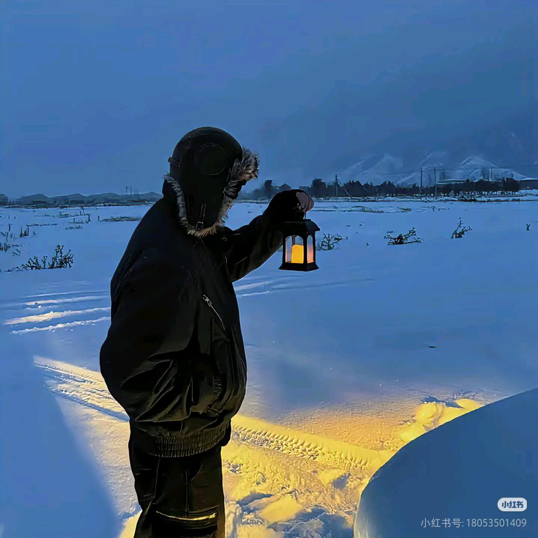 油菜花籽
