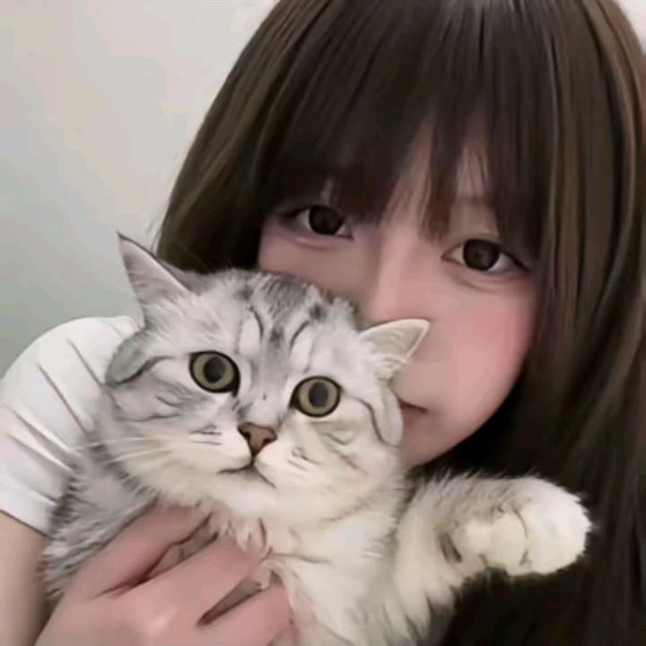时倾头像