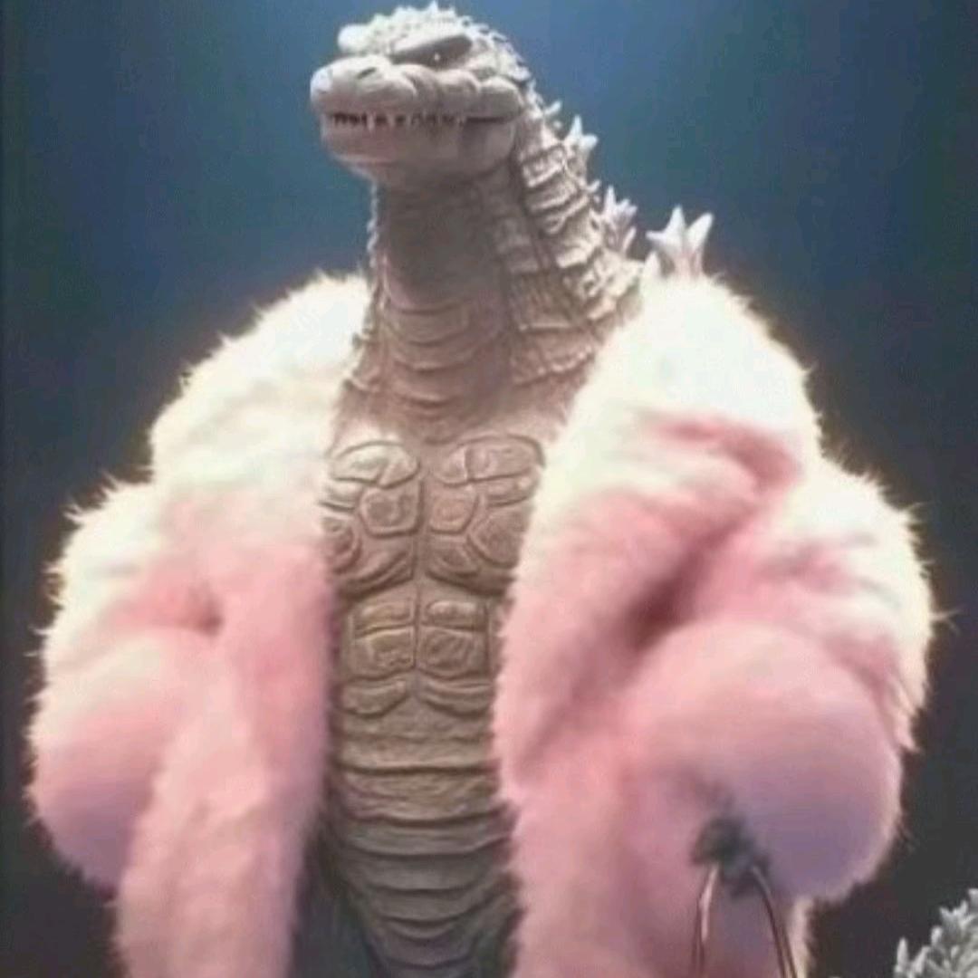 聂哈哈