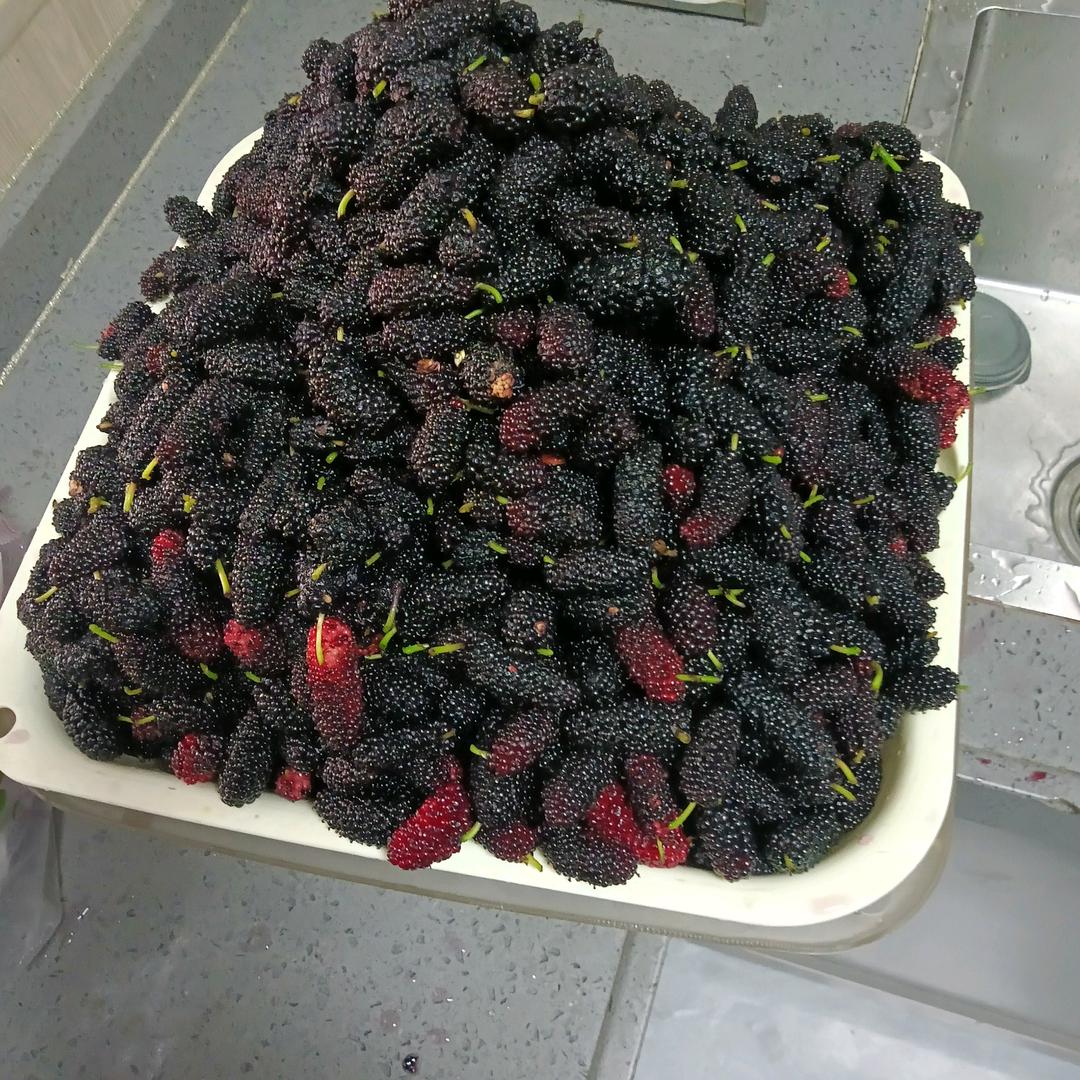 淡定（拒绝私聊）