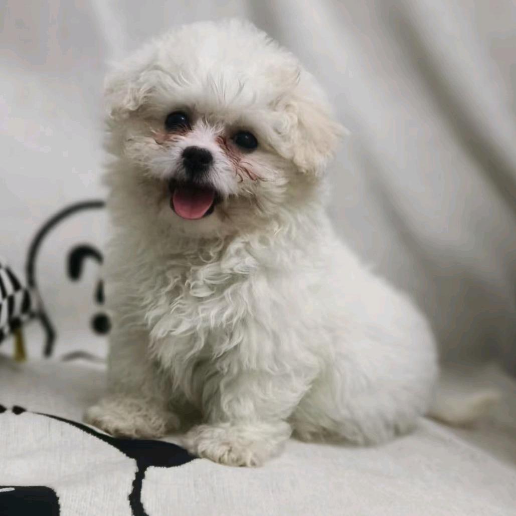 小满满在长大