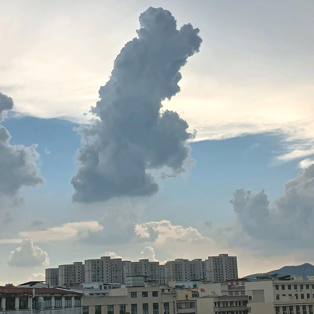 明明来了
