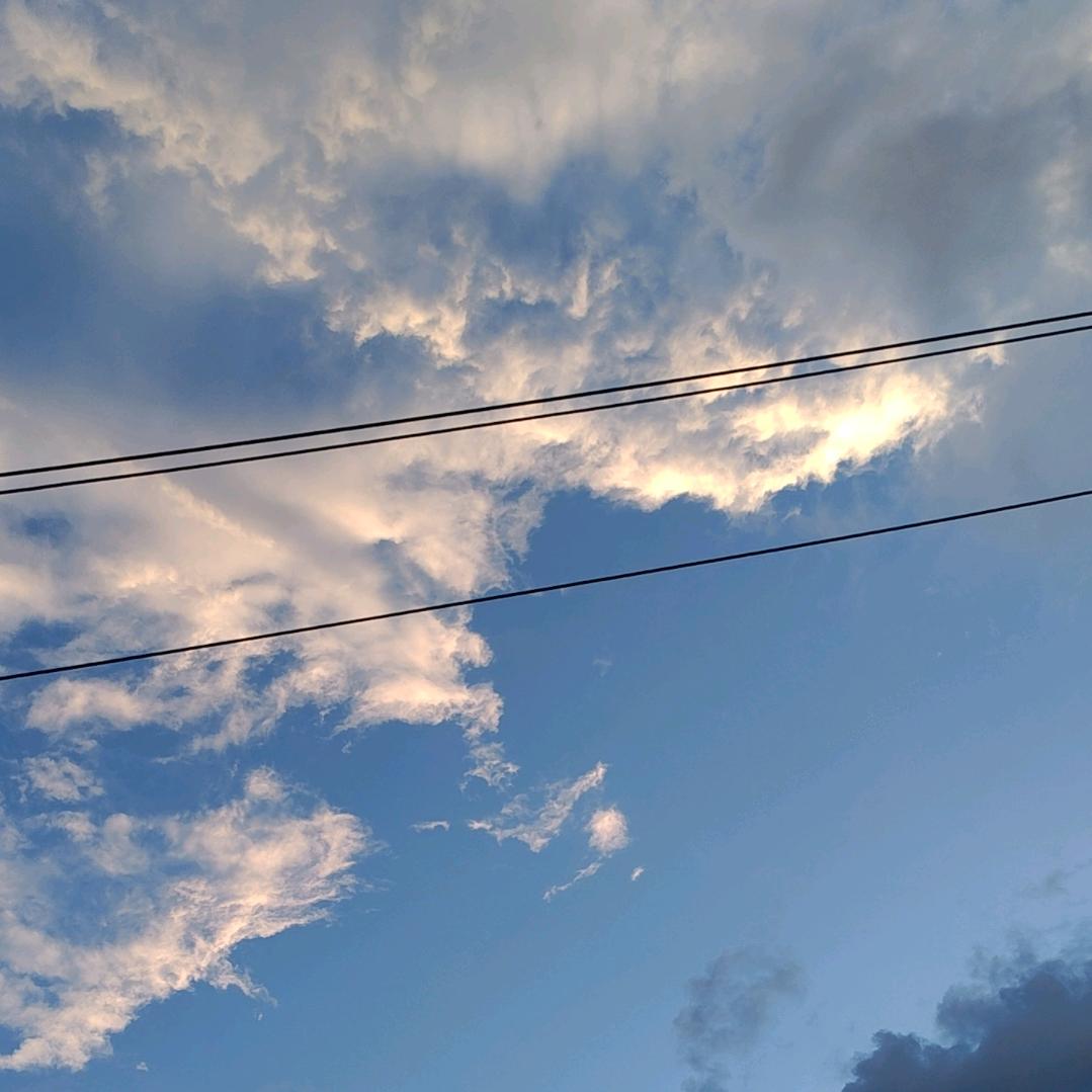 此号已注销