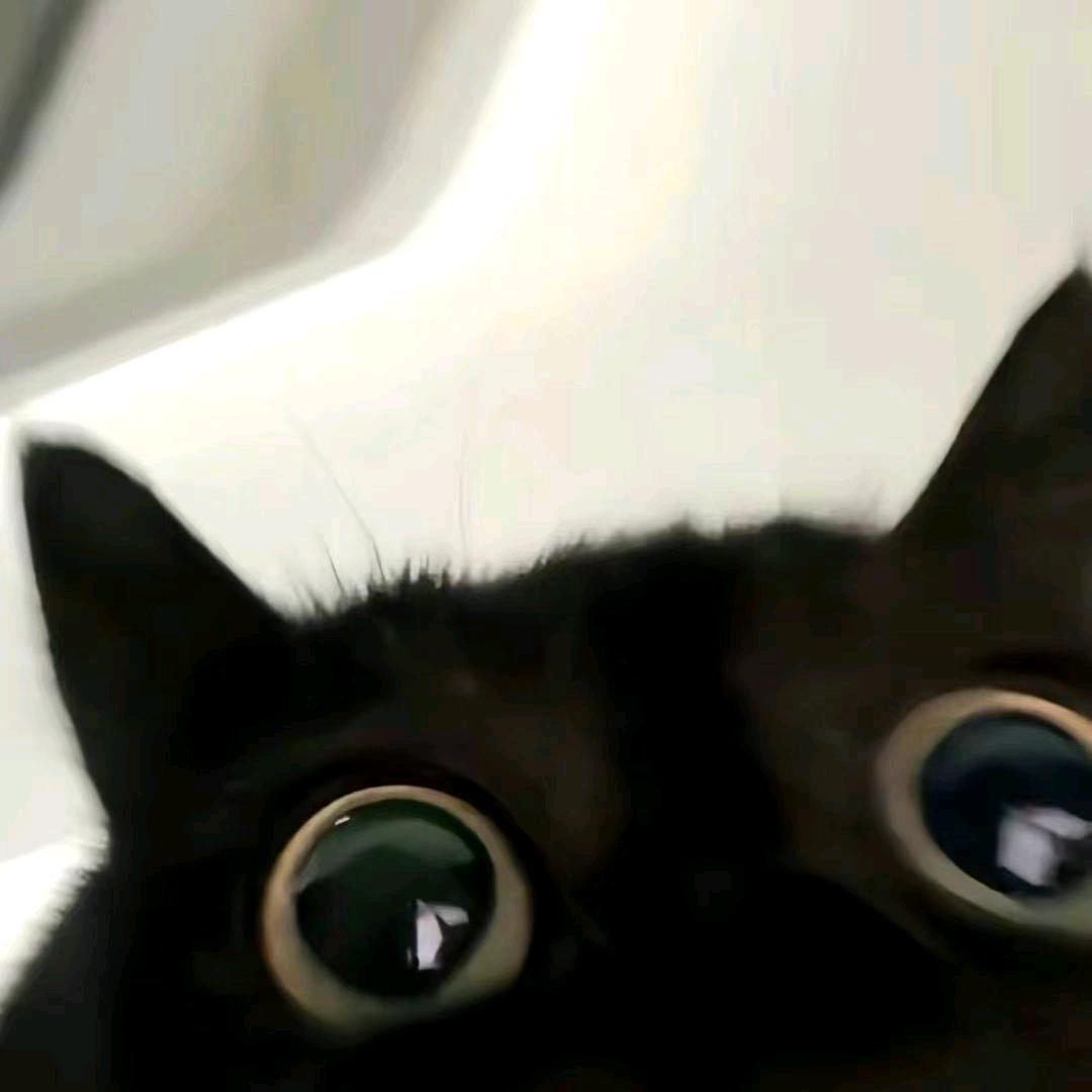 耀阳.