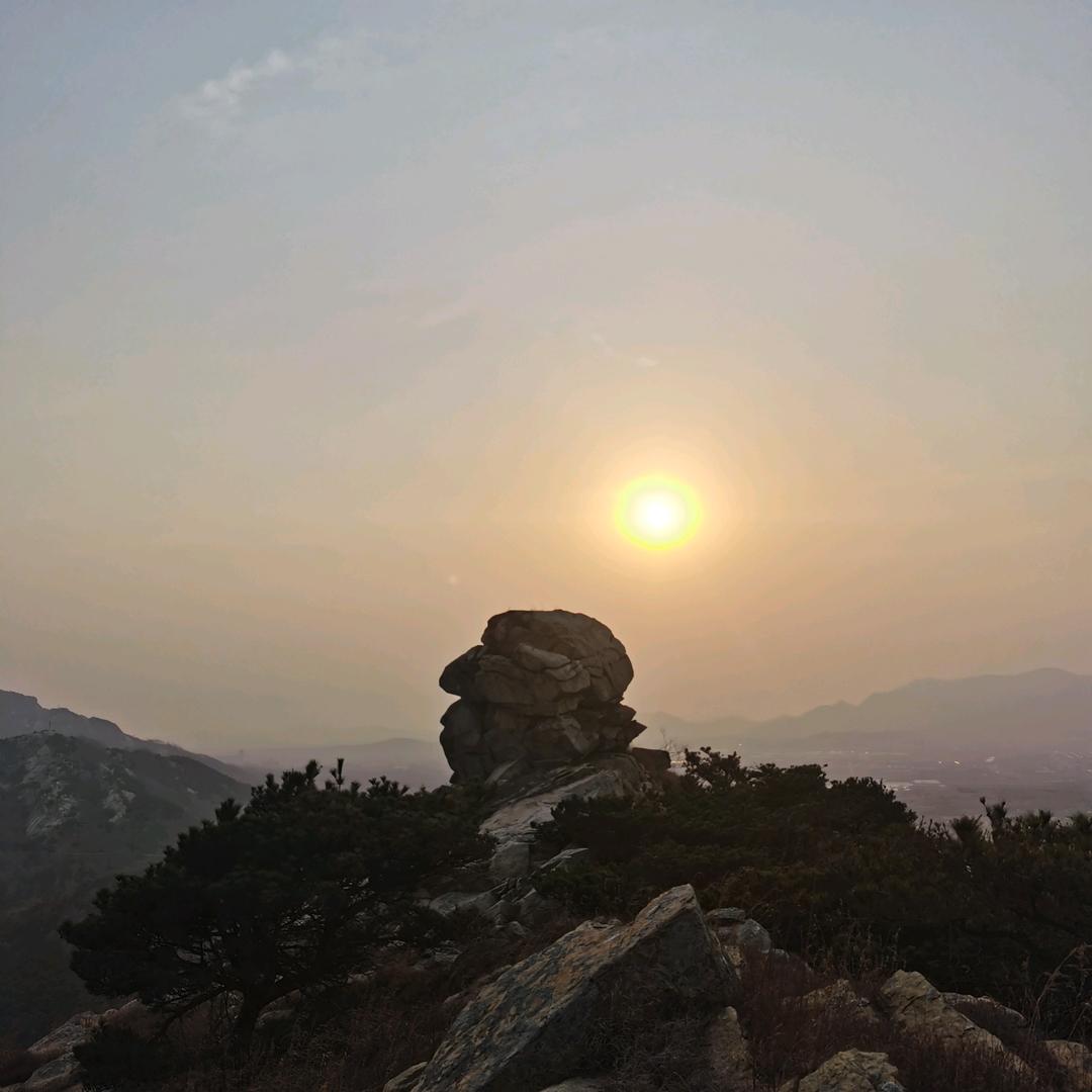 自学倪师（关注领）