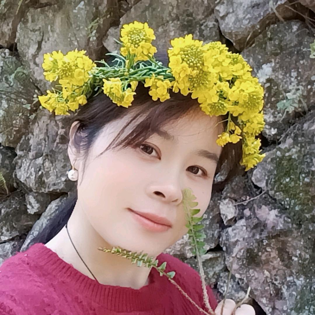 阳光下的花蕾