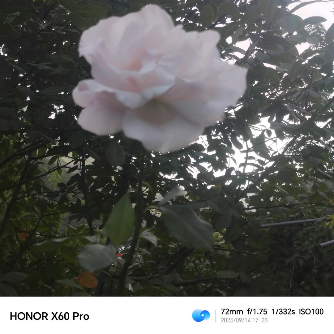 我早做好找不到的打算了😏