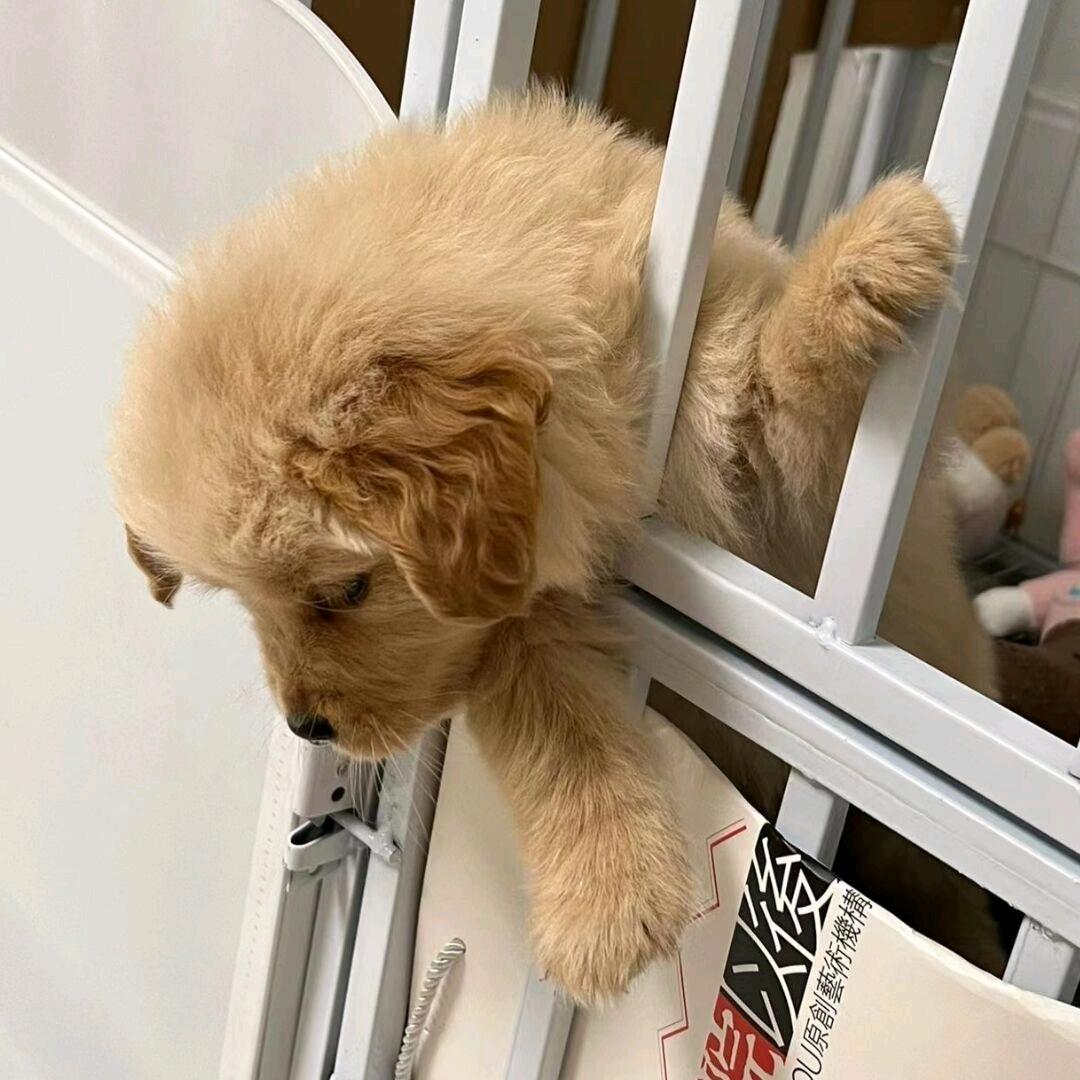 ㅤㅤㅤㅤㅤㅤㅤㅤㅤㅤㅤㅤㅤㅤㅤㅤㅤㅤㅤㅤ