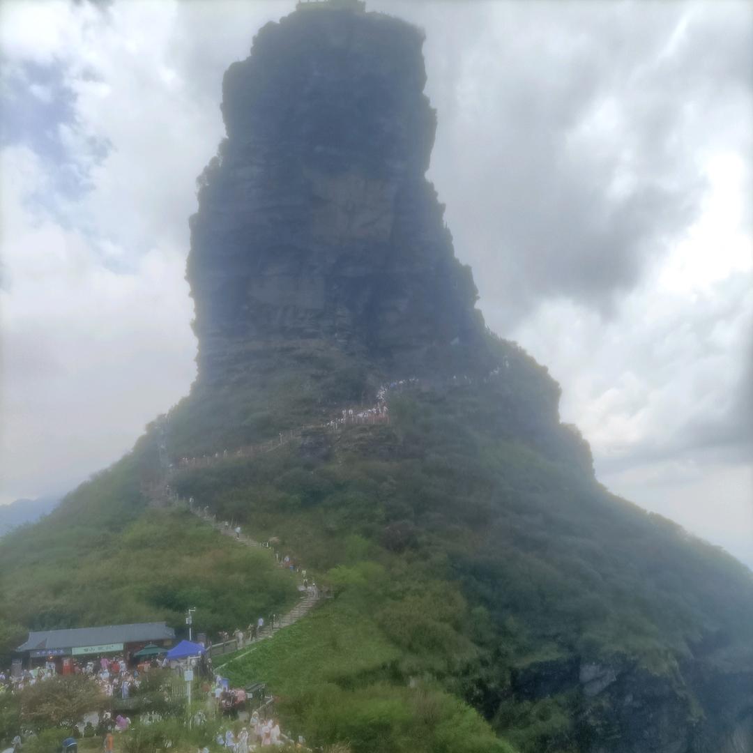 为爱护一生