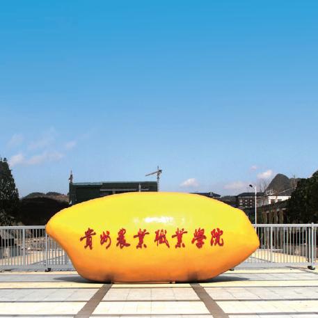 贵州农业职业学院 小龙学长