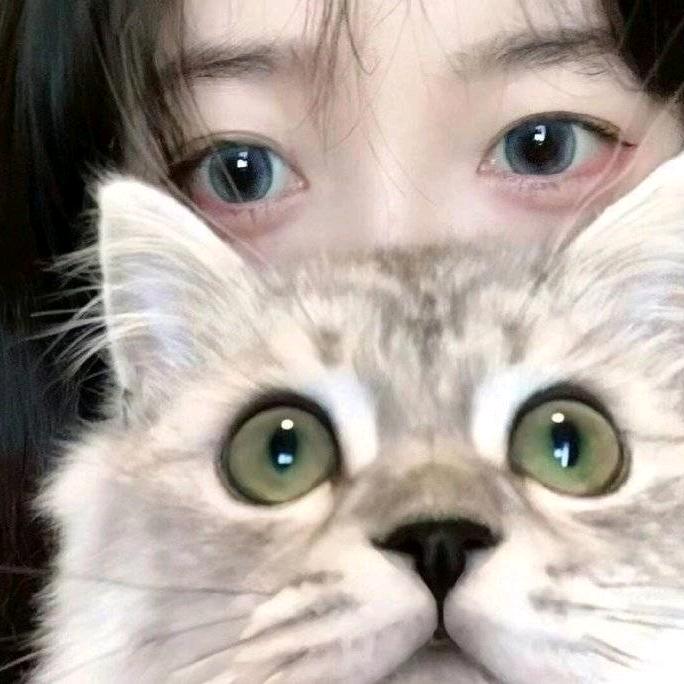 心碎小y.
