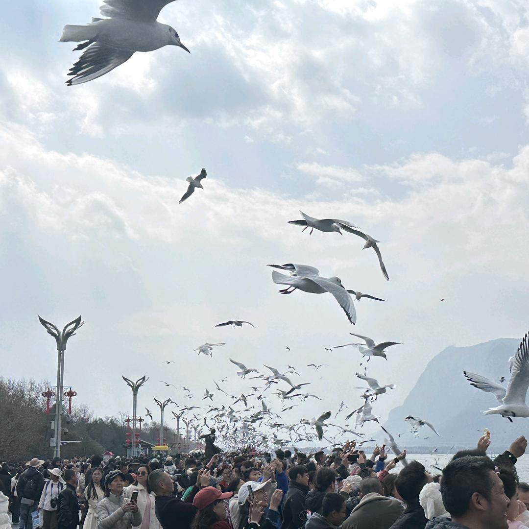小欣说
