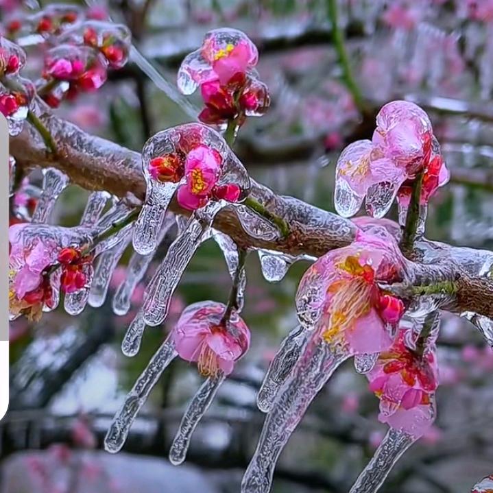 李（知足常乐）