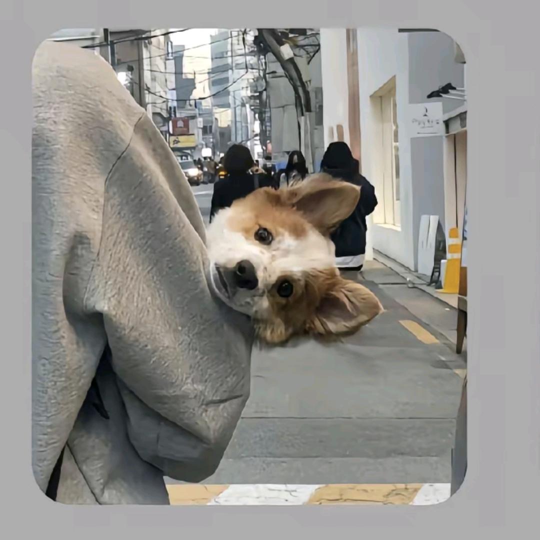 抹茶柚子冰yu