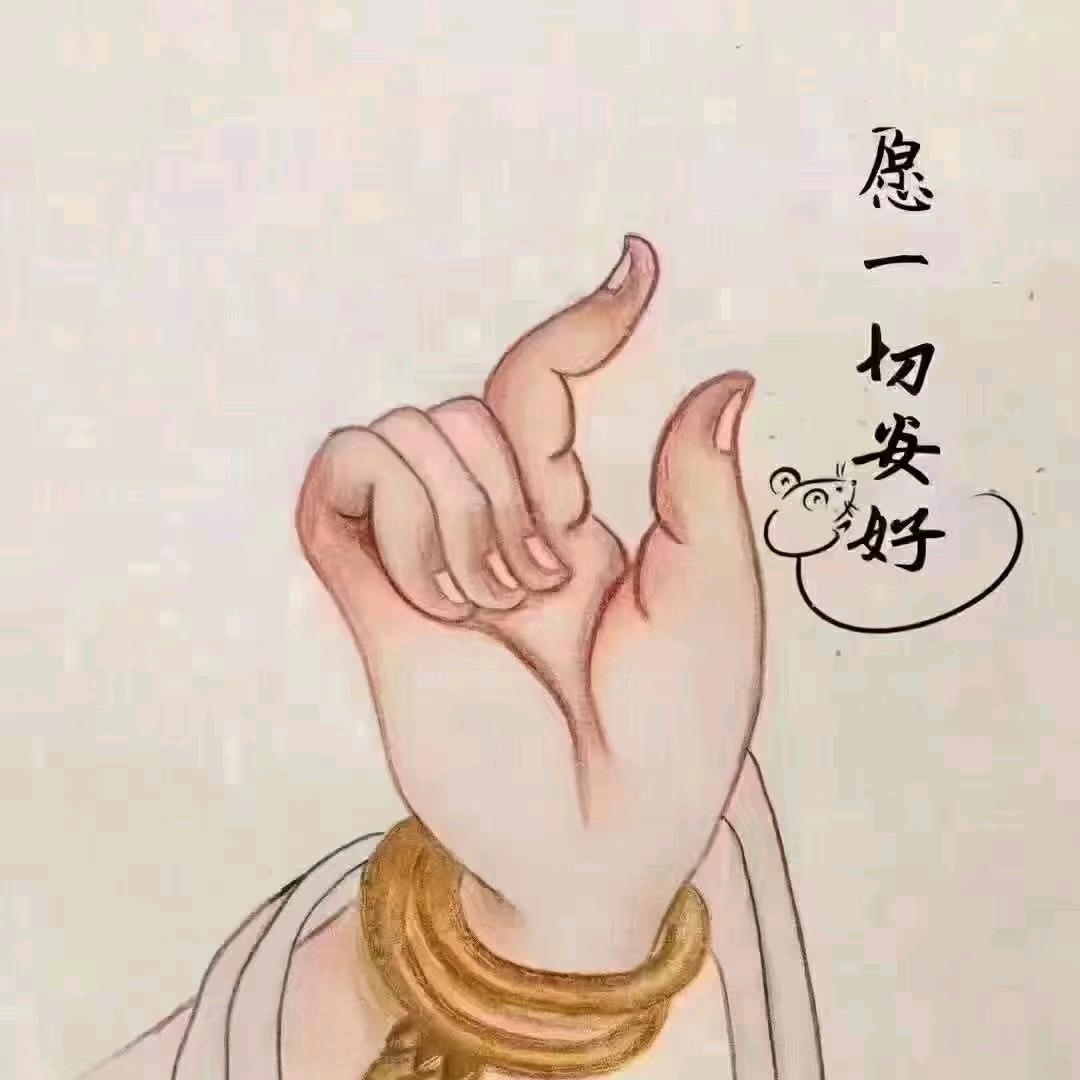 pp清粪带厂家