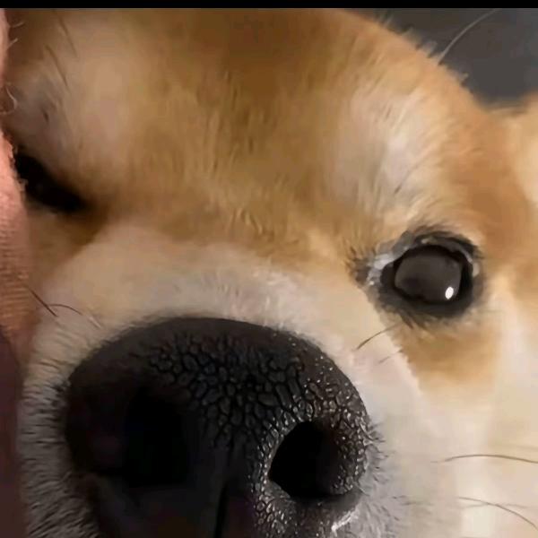 欧米茄Omega（科衔俱乐部）