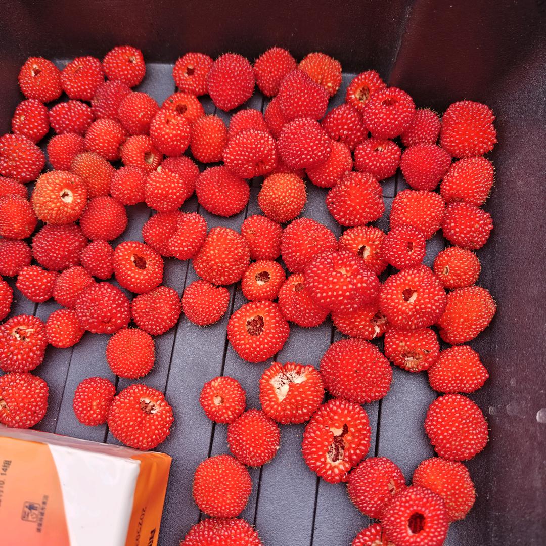 芊芊
