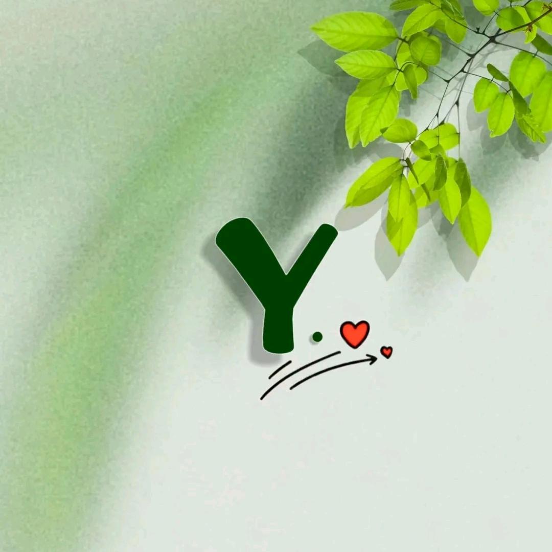 一路向杨🌞✨🍀