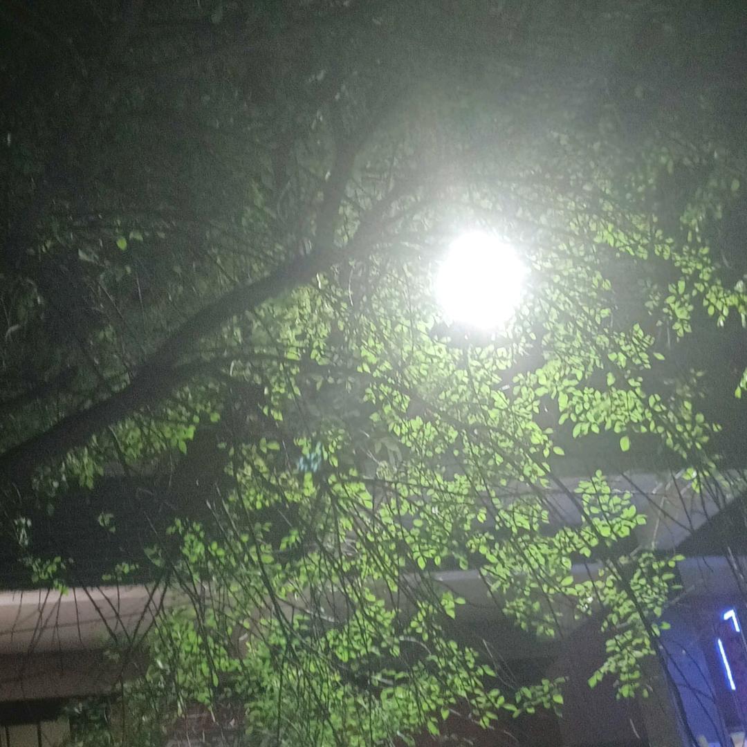 悠然自得