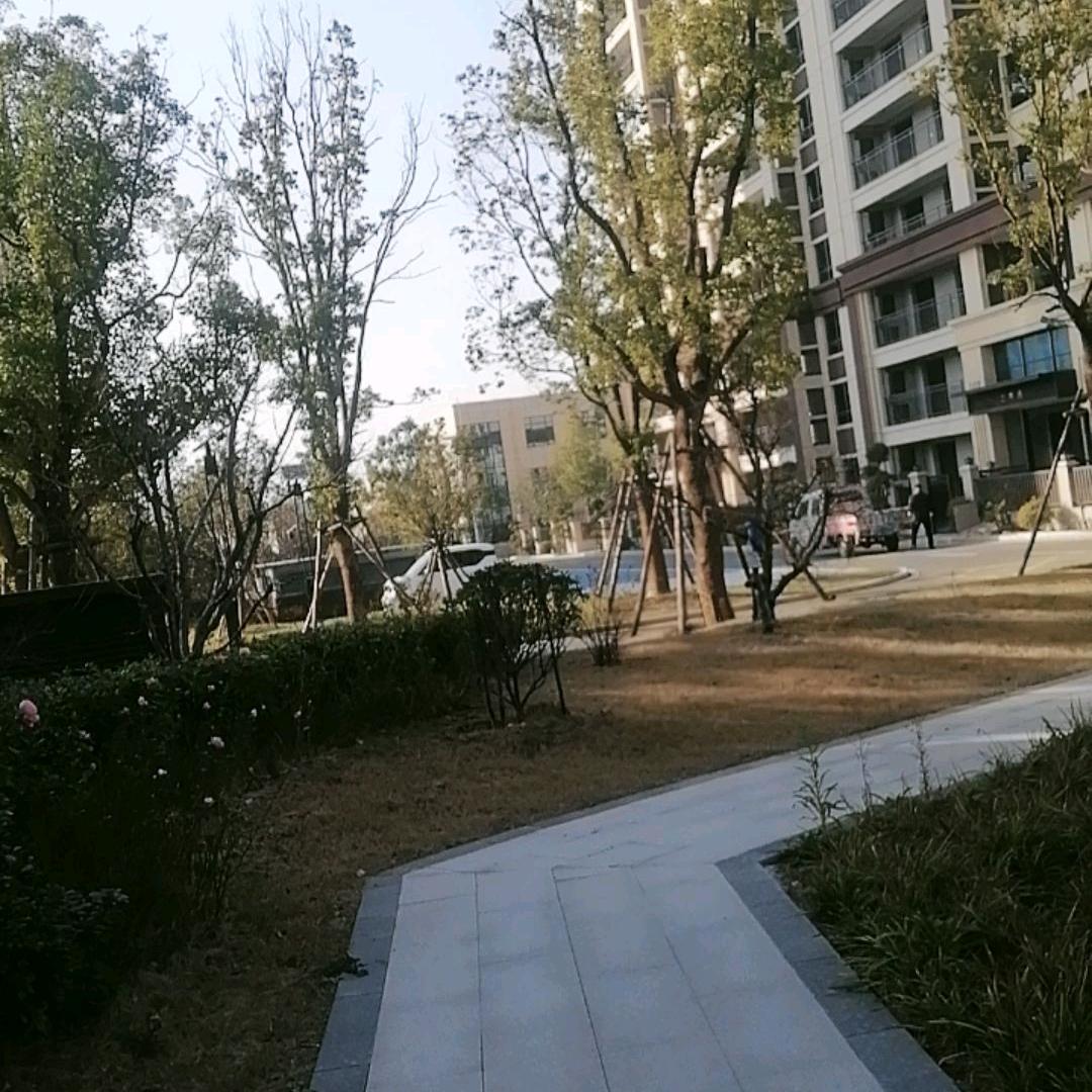 红梅