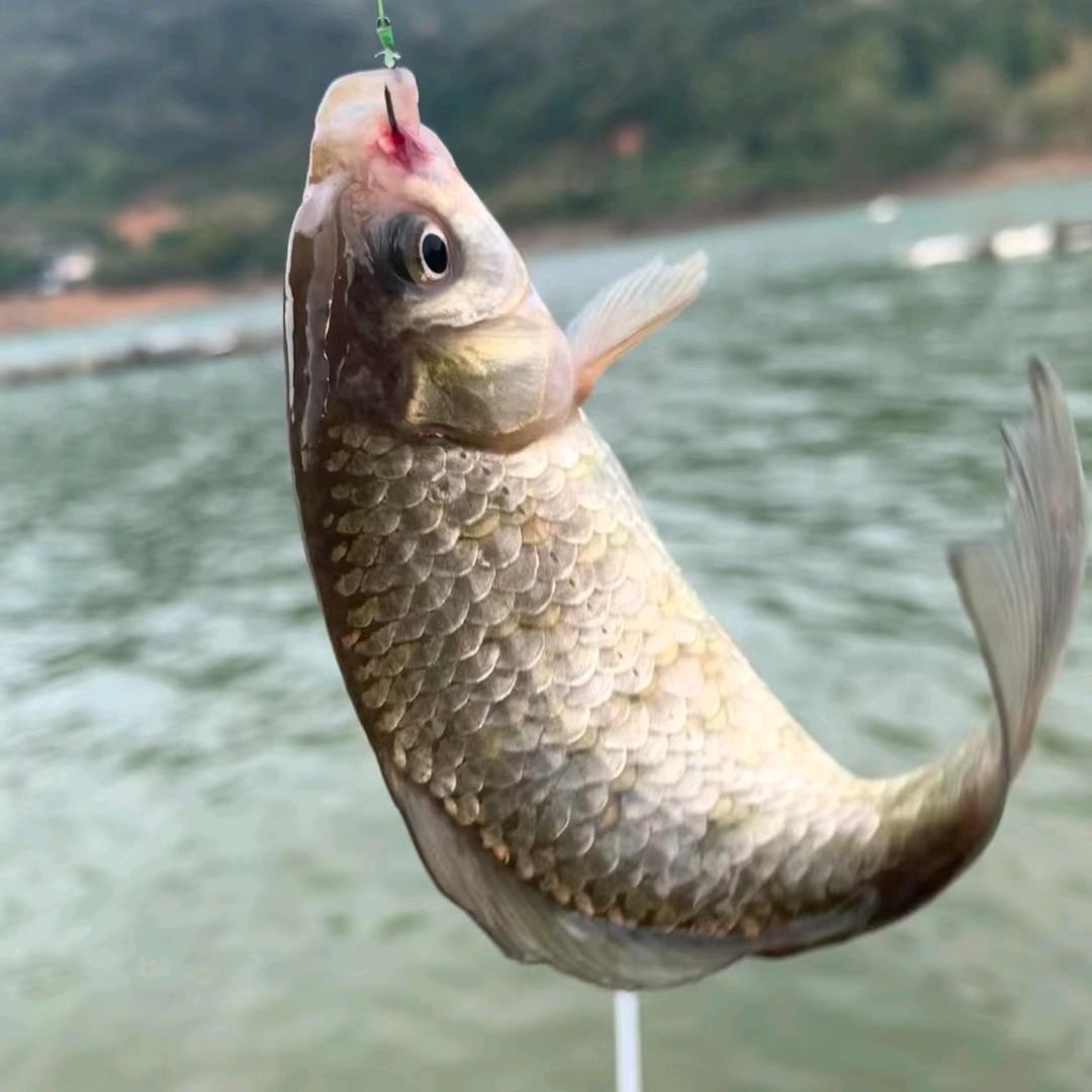 精品渔具工厂店