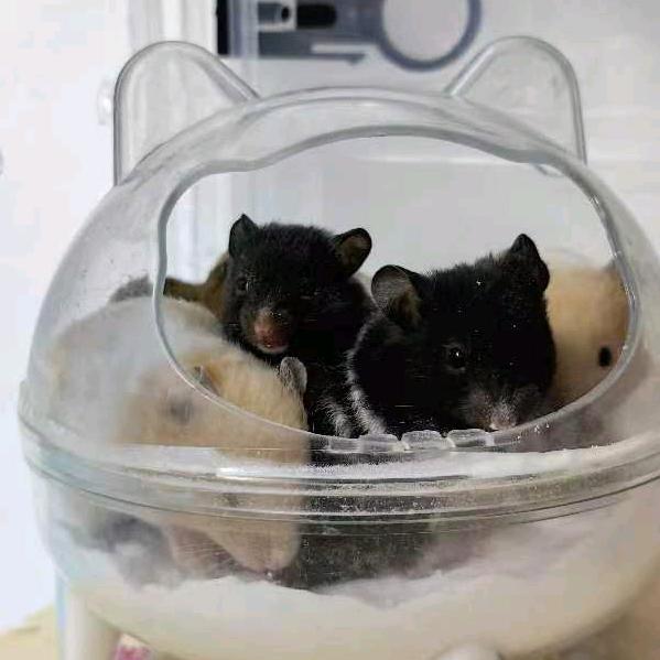 洗衣液工厂