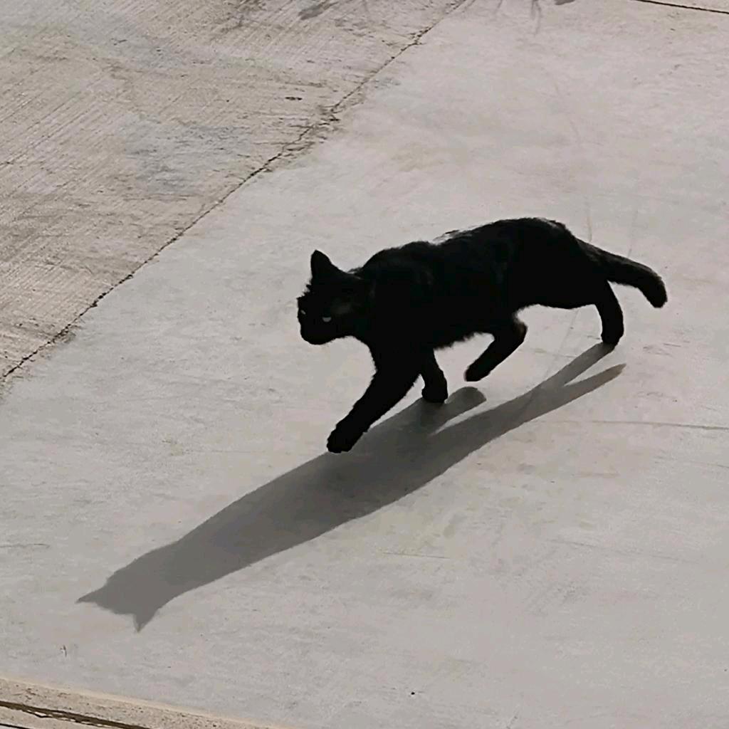 我与花椒不共戴天