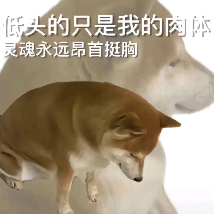 *ST啊欣