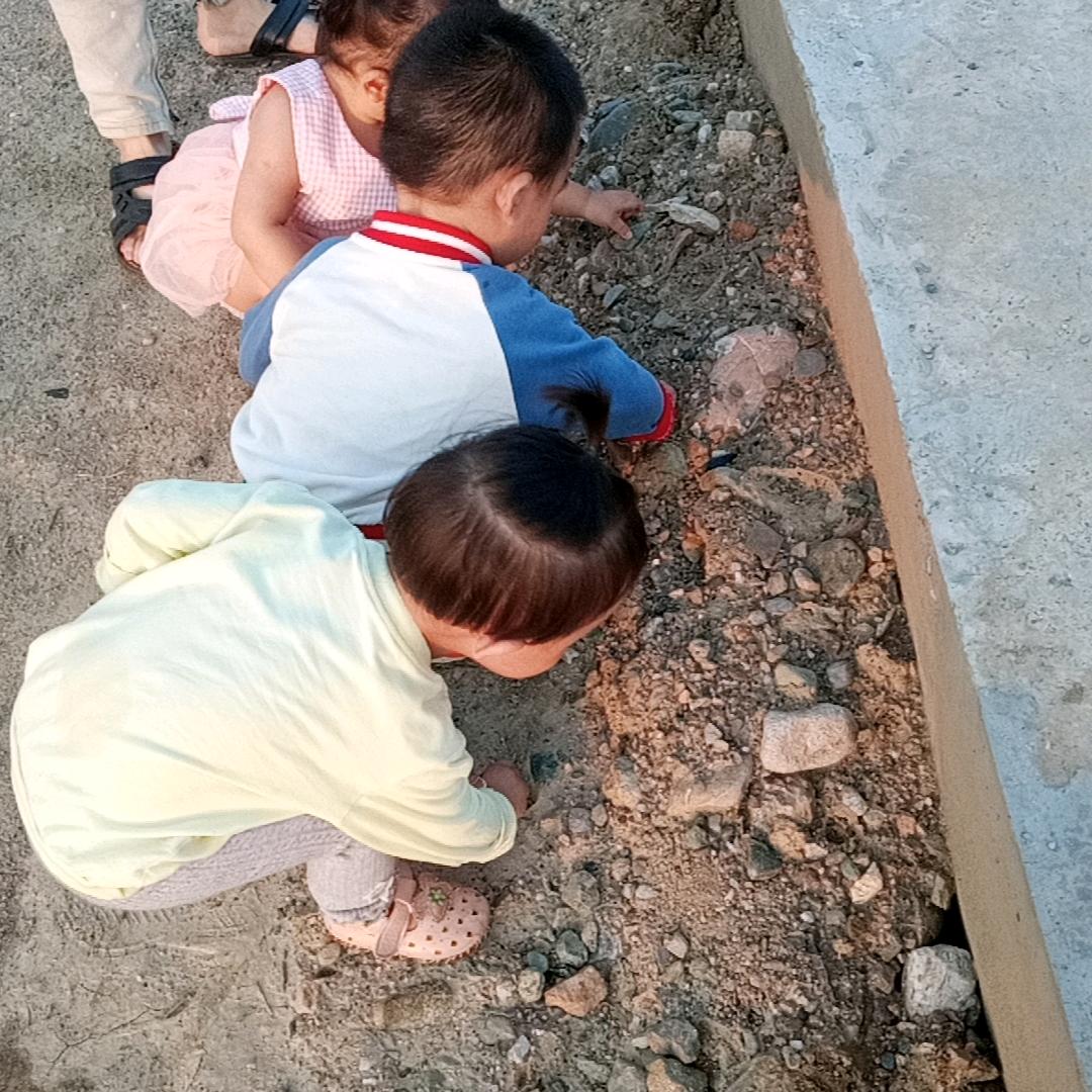 淡淡人生