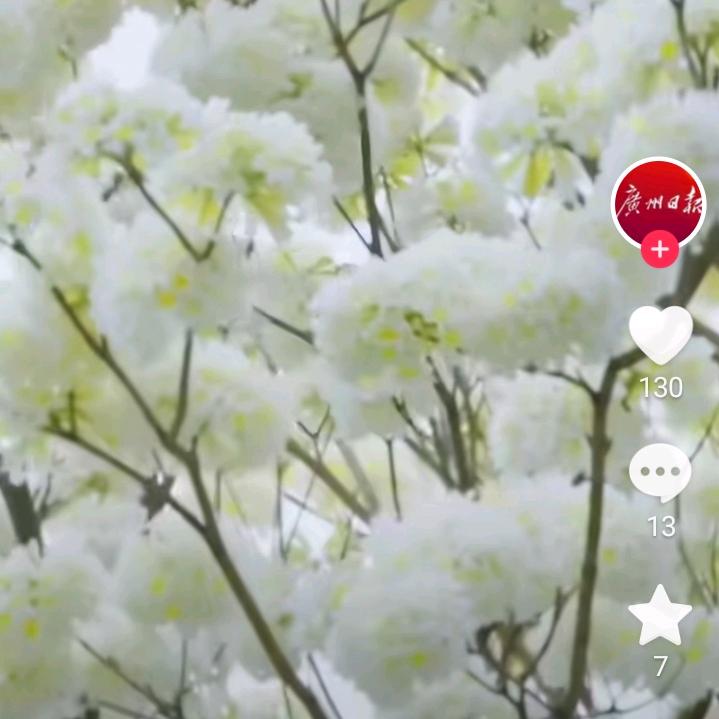 无名无姓
