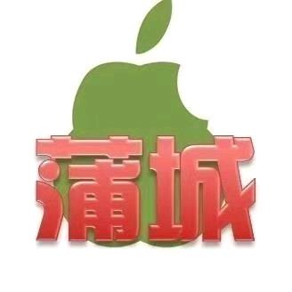 大秦微蒲城