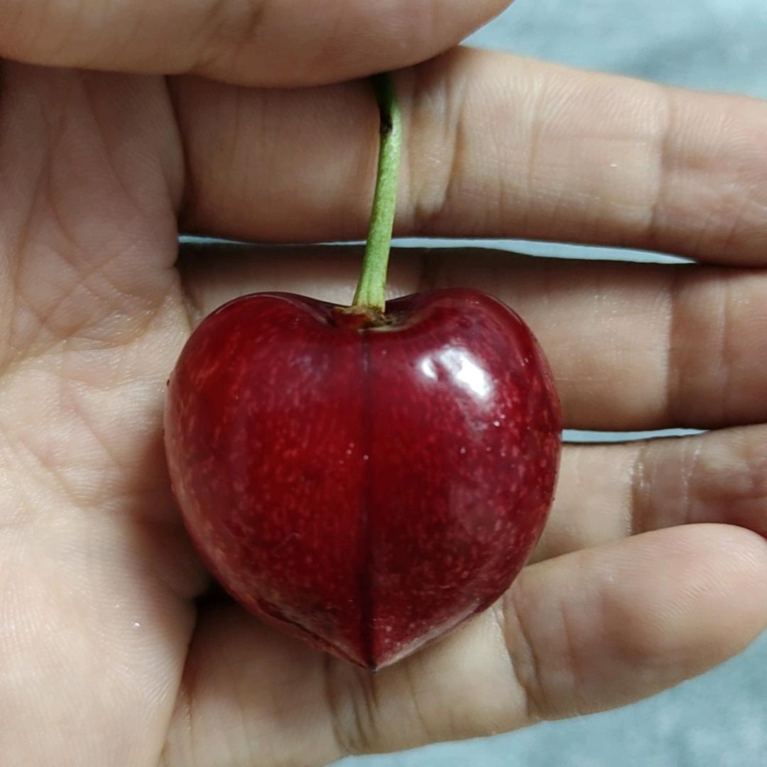 张店区财源厨具一站式采购