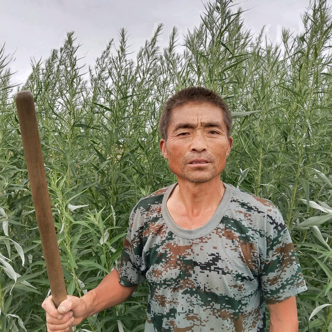 王秀则