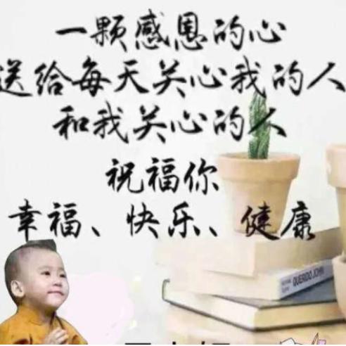 停不住的记忆