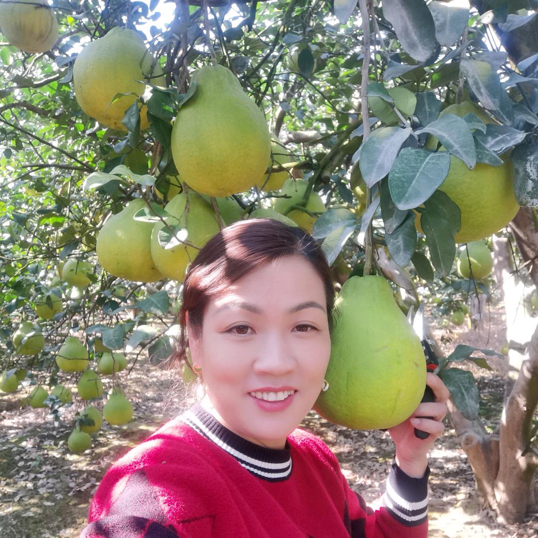 广西罗城金玉柚柚子姐姐