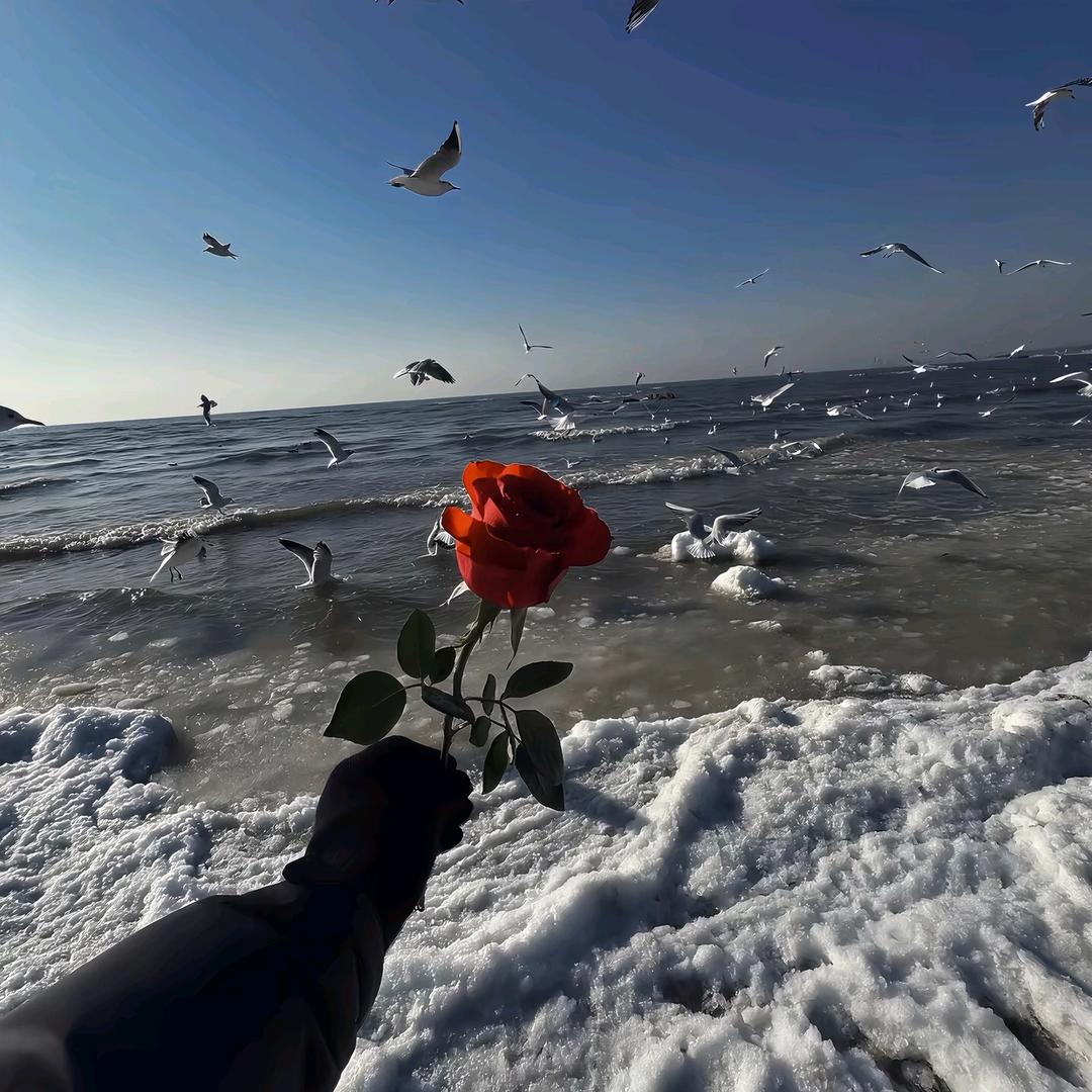 .oto.