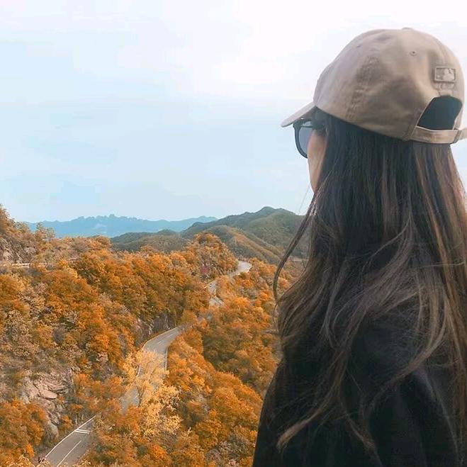 燕子
