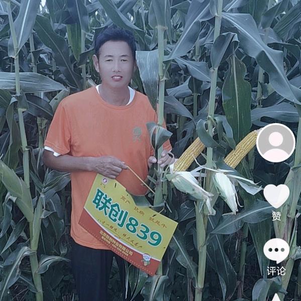 张振安