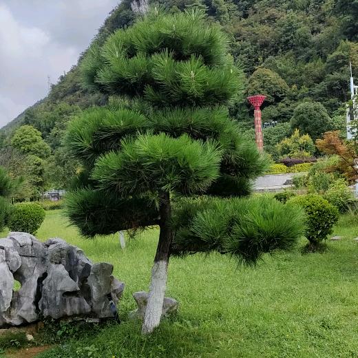 平平淡淡过一生。