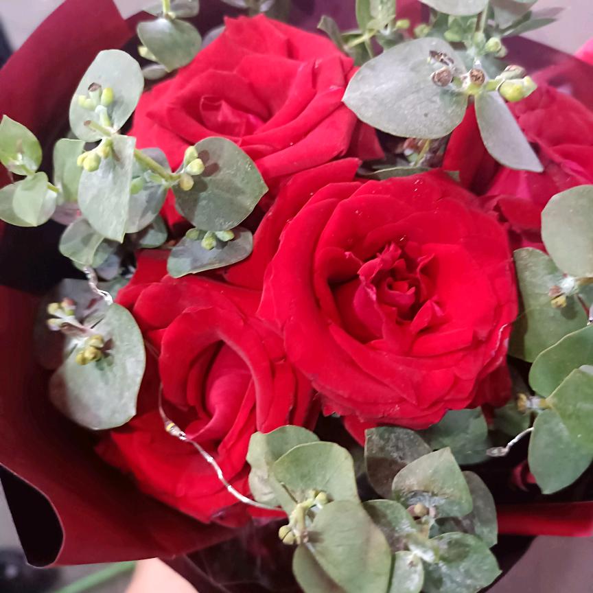 .̶♡̶眼̶里̶有̶星̶河̶